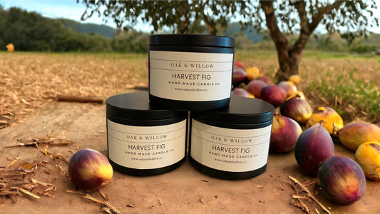 Harvest Fig 6 oz Classic Tin Candle - Sun-Ripened Fig, Lemon Peel, Ginger Root, Autumn Leaves, Plum, Pine.